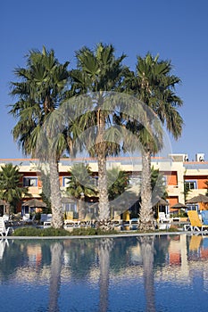 Waterpool with palms