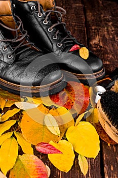 Waterproof Black boots on wooden background with autumn leaves polishing equipment, brush and polish cream.