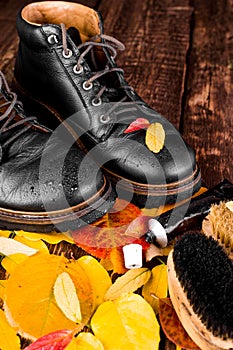 Waterproof Black boots on wooden background with autumn leaves polishing equipment, brush and polish cream.