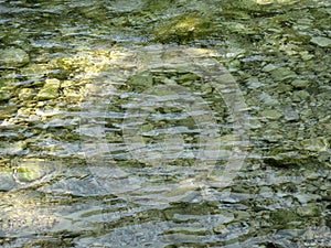 Clear green river waters