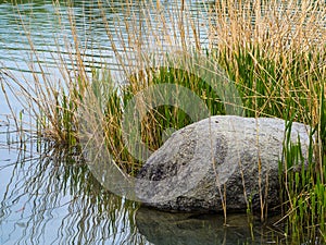 Waters edge on lake with big stone in wasser