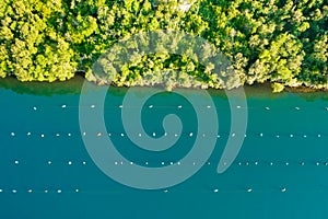 Waters of Lim bay with nets of oyster farm near green forest