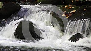 Waters Of Roaring Fork Motor Trail In The Smoky Mountains