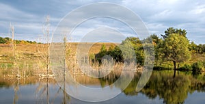 Waterscape with trees