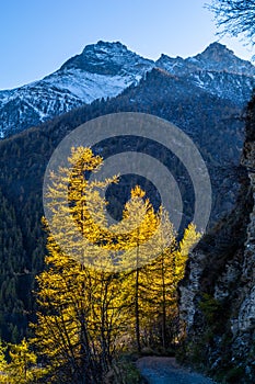 The treasures of the Varaita Valley: the small village of Bellino between the Monviso and the Pelvo dÃ¢â¬â¢Elva photo