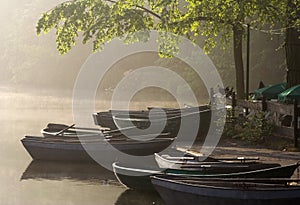 Waterside cafe - misty morning