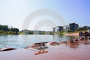 Waterside dock at sunny noon