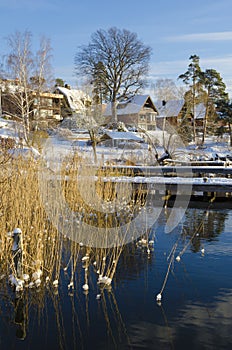 Waterside houses early winter