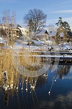 Waterside houses early winter photo