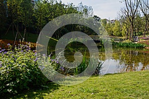 Waterside lawn and flowers at sunny winter noon