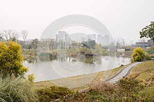 Waterside path on grassy lawn in light winter mist