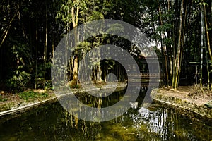 Waterside tile-roofed building in bamboo