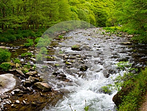 Watersmeet in Devon near Lynmouth