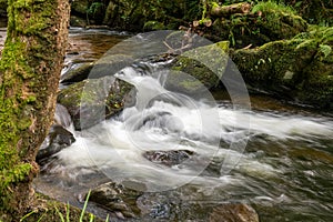 Watersmeet in Exmoor National Park