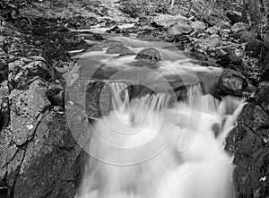 Watersmeet in Exmoor National Park