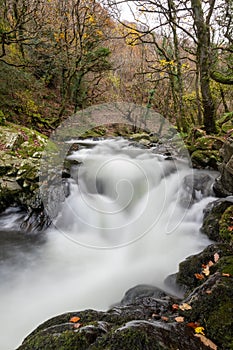 Watersmeet in Exmoor National Park