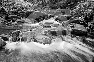 Watersmeet in Exmoor National Park