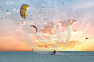 Watersport on Aruba island in the Caribbean Sea