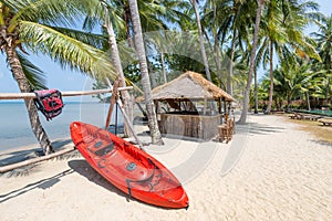 Watersport kayak boat under a palm tree on a tropical white sand