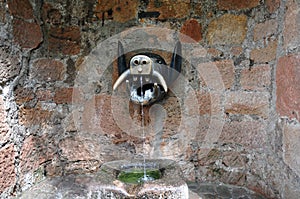 Waterspout in shape of a boar`s head, Marburg