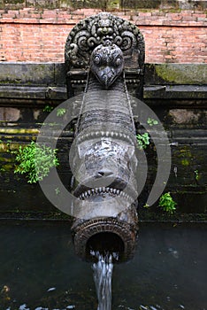 The waterspouts of Manga Hiti. Patan, Nepal