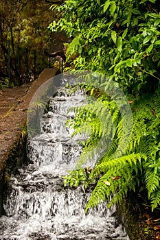 Waterstairs near 25 fontes