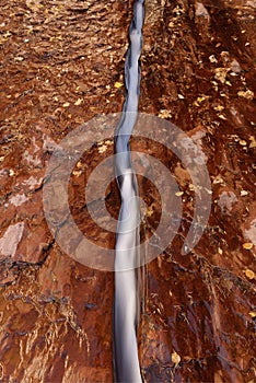 Waterstream in the Left Fork North Creek, Zion National Park