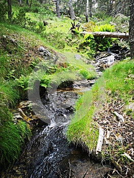 Waterstream in the mountains of Madrid