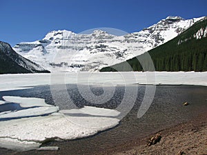 Waterton Lakes National Park, Canadian Rocky Mountains, A Promise of Spring at Cameron Lake, Alberta, Canada