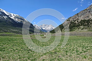 Waterton Lakes National Park, Prairie and Rocky Mountains along Red Canyon Road, Alberta, Canada