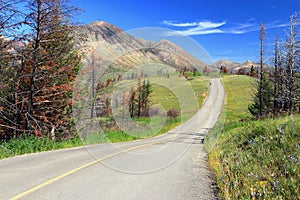 Waterton Lakes National Park, Red Rock Canyon Road with Meadows Recovering from Wildfire Damage, Alberta, Canada