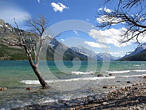 Waterton Lakes National Park, Rocky Mountains, Upper Waterton Lake on Stormy Day, Alberta, Canada