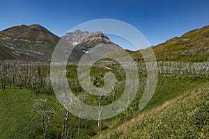 Waterton Lakes National Park photo