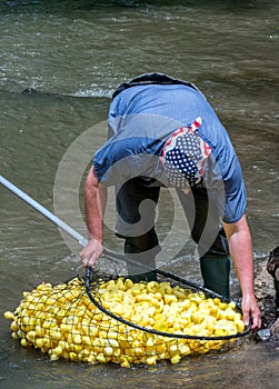 Scooping rubber ducks up in the river