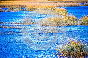 Waterway and marsh views on johns island south carolina