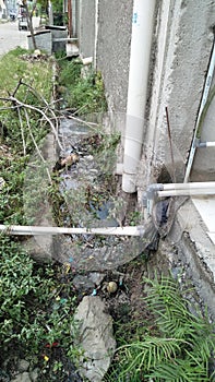 The waterways around the housing are polluted by garbage