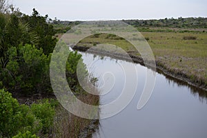 Waterways flow throughout the Egans Creek Greenway on Amelia Island, Florida