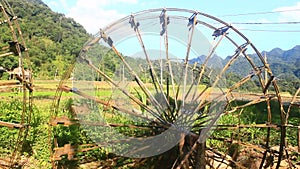 Waterwheels take water to rice