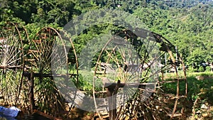Waterwheels take water to rice