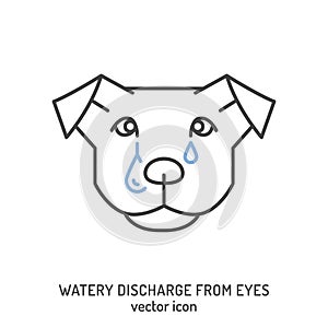 Watery discharge from dogs eyes. Common dog disease symbol.