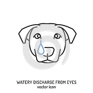 Watery discharge from dogs eyes. Common dog disease symbol.