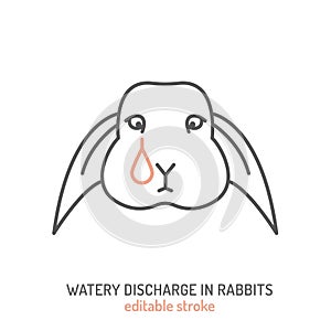 Watery discharge from rabbits eyes. Common pet disease symbol.