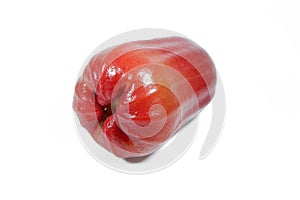 Watery Rose Apple