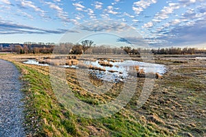 Wathington Estuary Landscape