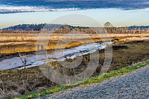 Wathington Estuary Landscape 3