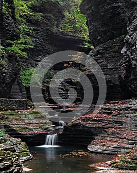 Watkins Glen Gorge