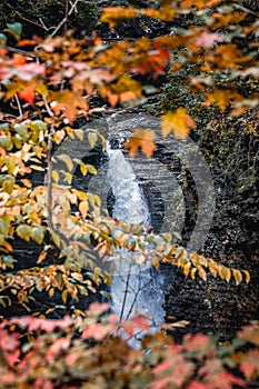 Watkins Glen Gorge Trail