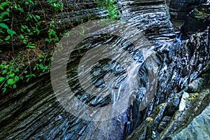 Watkins Glen State Park