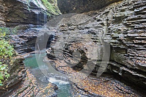 Watkins Glen State Park