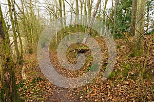 Wats Dyke Walking Trail in Shropshire England photo
